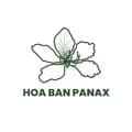 Hoaban Panax-hoabanpanax_