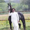 Sardar Asad Farooq Khan ♛-falconhorseridingpaswal