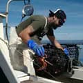 Friendliest Catch-friendliestcatch