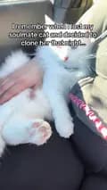 Belle the Clone Kitty-clonekitty