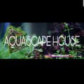 AQUA HOUSE-aquascapehouse