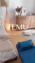 homefinds-temu_homefinds