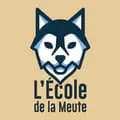 Clém & Cie • Éducateur canin-lecoledelameute