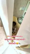 Mommy Meaw Cutie-cutie_cattery