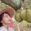 ทุเรียนเจ้รมย์-jrom.durian