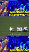 Harimau Malaya-harimaumalaya_hm