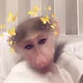 نونه المجنونه 😭🐒🐒.-nono1122334455664