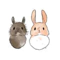 two happy bunnies 🐰🌱-twohappybunnies