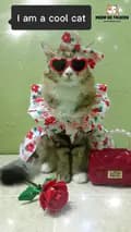 meowgofashion-meowgofashion