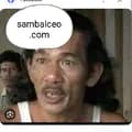 Sambalceo.com-sambalceo.com