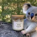 koalacandleusa-koalacandleusa