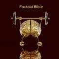 Factoid Bible-factoidbible