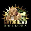 GatorHeadBullies-gatorheadbullies