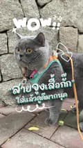 ฮาฮา นะจ๊ะ-haha_naja