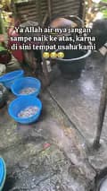 Bilih Goreng Enak Akbar-rosieakbar