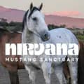 Nirvana Mustang Sanctuary-nirvanamustangsanctuary