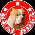 ⚜️ Real Dogs Canil⚜️-canilrealdogs