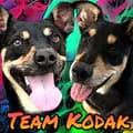 👑🐶Team Kodak🐶👑-team_kodak