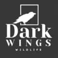 DarkWingsWildlife-darkwingswildlife