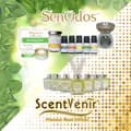 GVI Life Care-scentaromatic